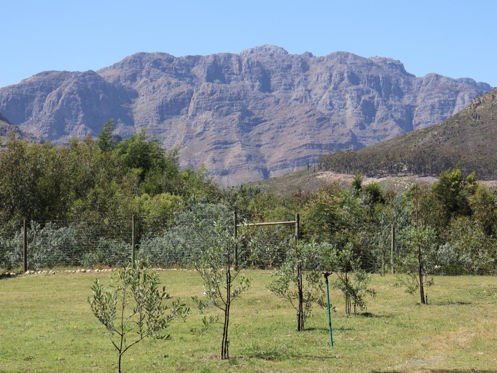 La Ferme Guest Farm - Hot Tubs Villa Franschhoek Dış mekan fotoğraf