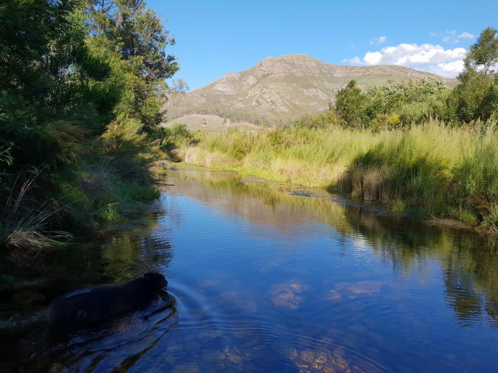 La Ferme Guest Farm - Hot Tubs Villa Franschhoek Dış mekan fotoğraf