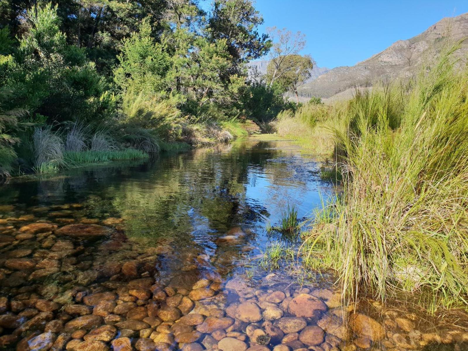 La Ferme Guest Farm - Hot Tubs Villa Franschhoek Dış mekan fotoğraf