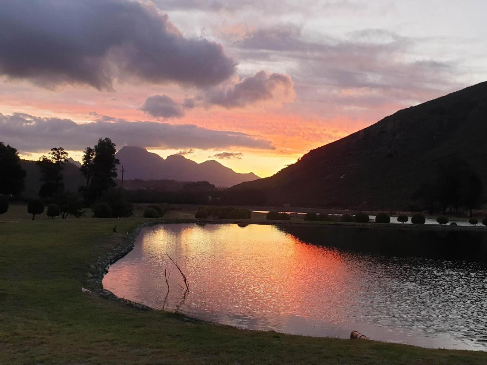 La Ferme Guest Farm - Hot Tubs Villa Franschhoek Dış mekan fotoğraf
