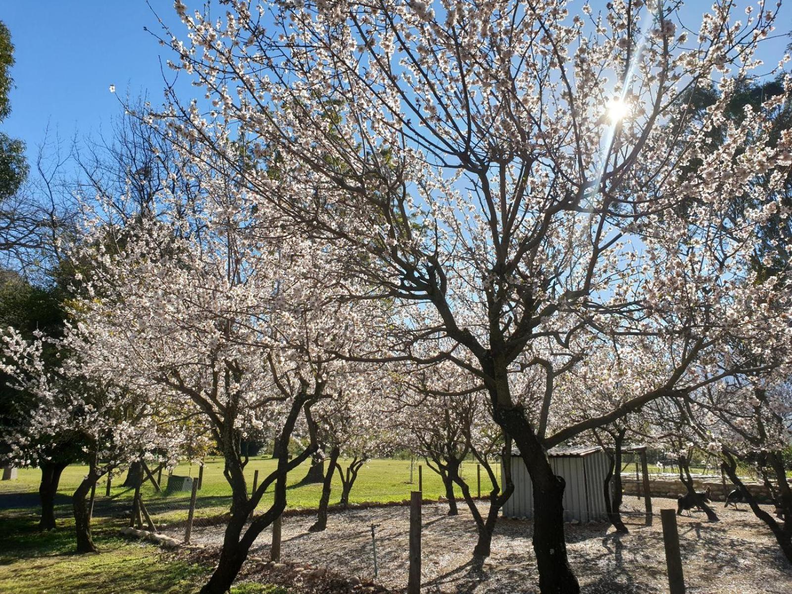La Ferme Guest Farm - Hot Tubs Villa Franschhoek Dış mekan fotoğraf