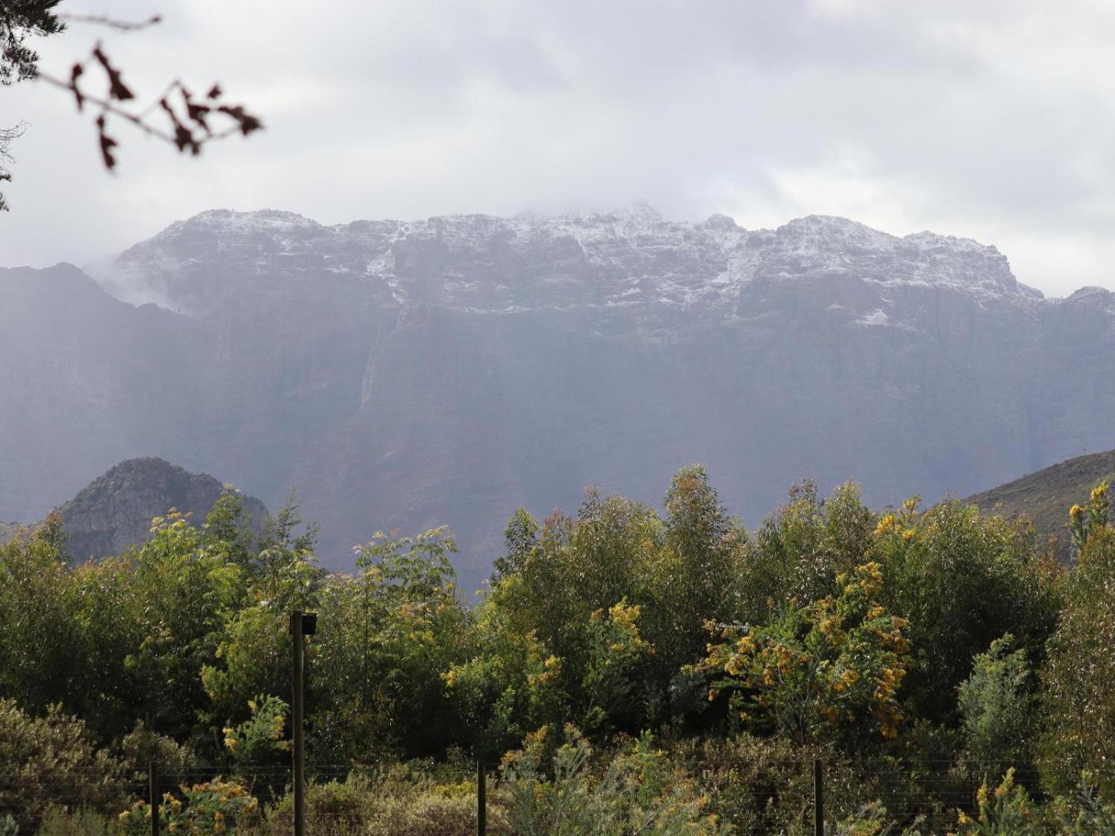 La Ferme Guest Farm - Hot Tubs Villa Franschhoek Dış mekan fotoğraf