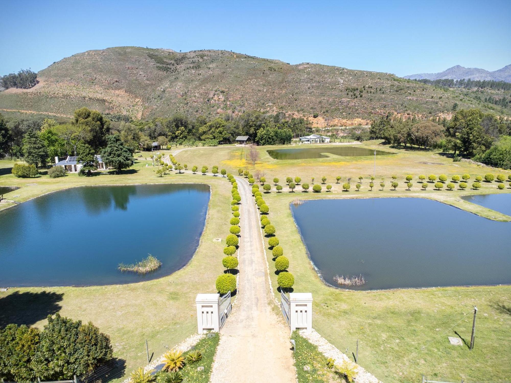 La Ferme Guest Farm - Hot Tubs Villa Franschhoek Dış mekan fotoğraf